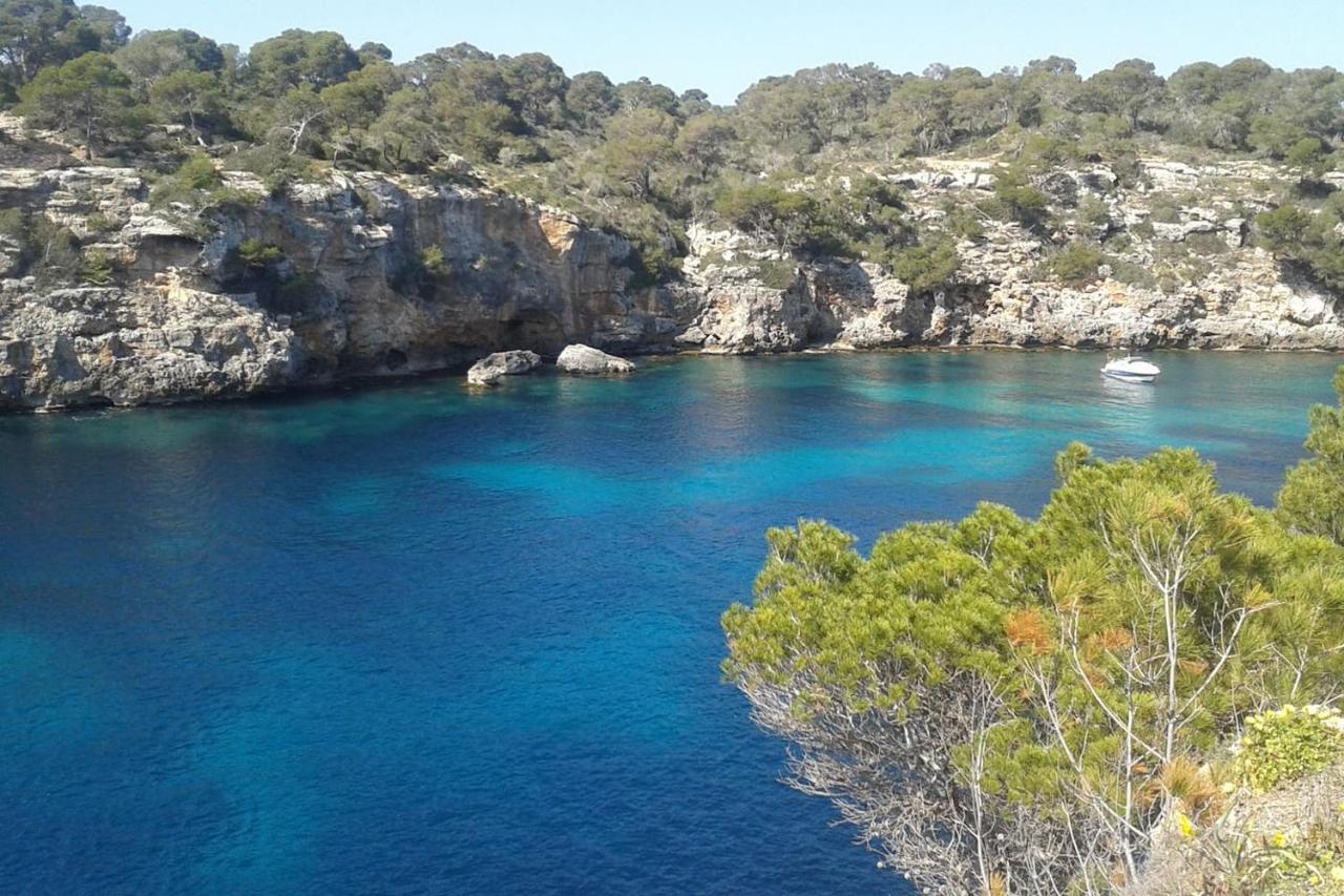 Apartment The Torrent's Observer Cala Pi (Mallorca)